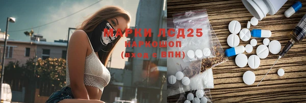 твердый Козельск