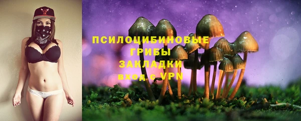 твердый Козельск