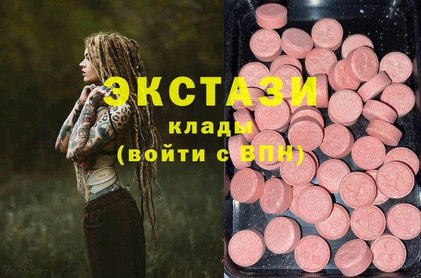 гидра Кодинск