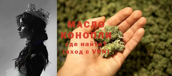 твердый Козельск