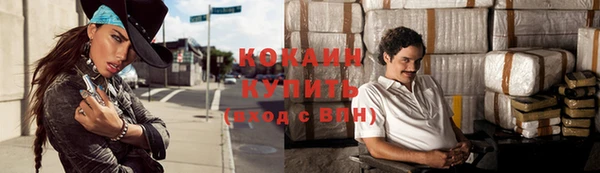 твердый Козельск