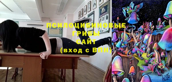 гидра Кодинск