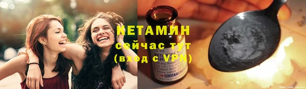 гидра Кодинск