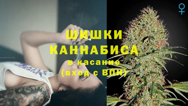 гидра Кодинск