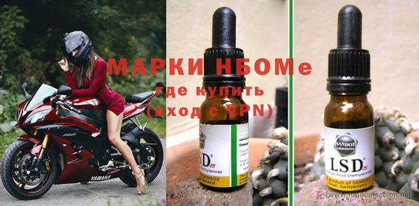 гидра Кодинск