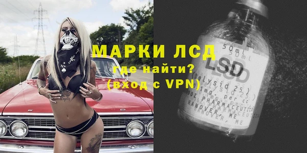 гидра Кодинск