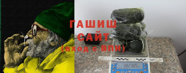 гидра Кодинск