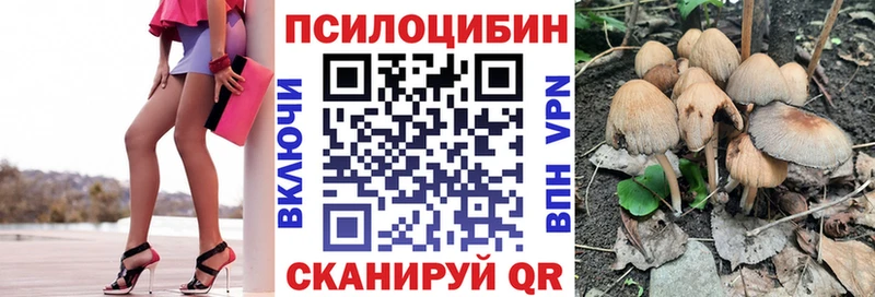 Купить где  Саранск  Псилоцибиновые грибы прущие грибы 